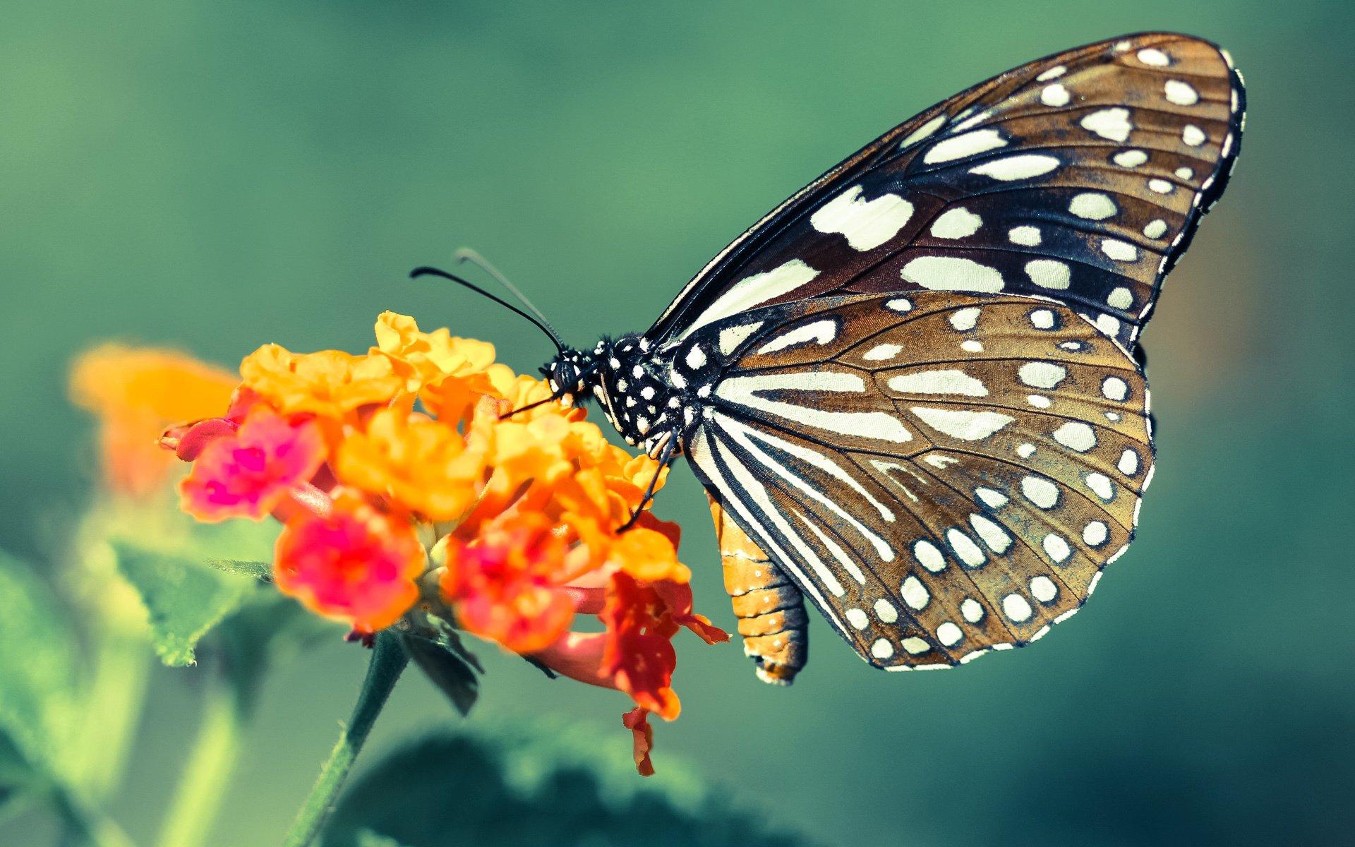 第二十条 为何能成为2024春节档最大赢家 热辣滚烫 飞驰人生2