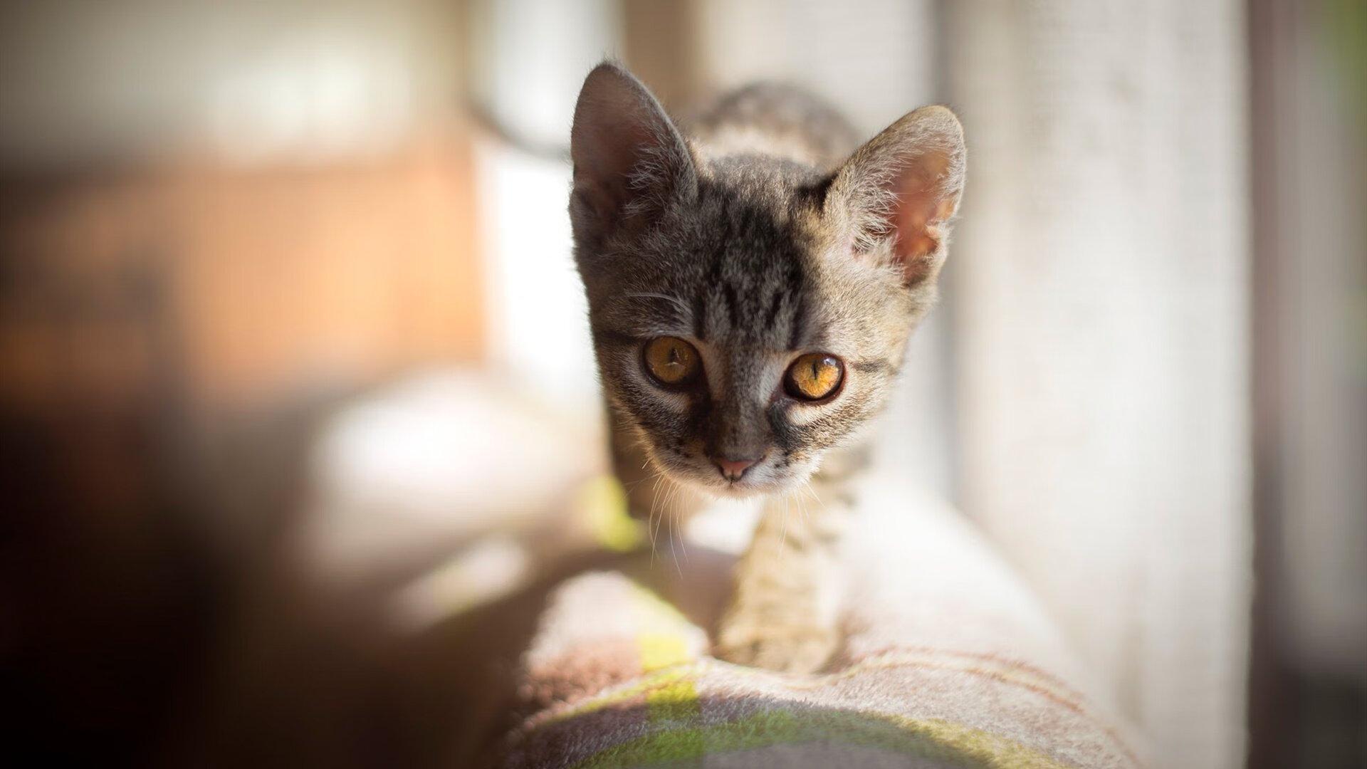 国庆有什么强力的电影看