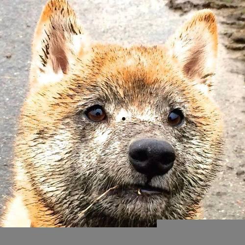 给几个very good的电影